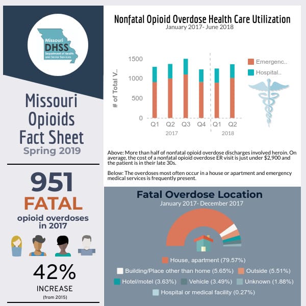 Missouri Department Of Health and Senior Services Impressive Opioids ...